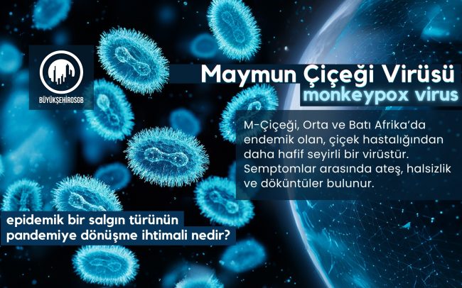 m-çiçeği virüsü